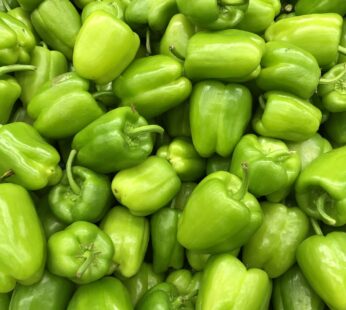 Green Pepper (kg)