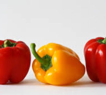 Bell Pepper (Red and Yellow /kg)