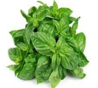 Basil Leaf (Bunch)