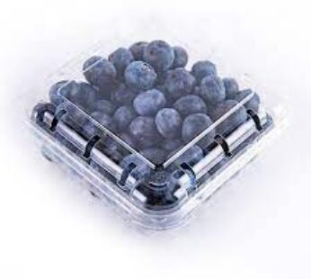 Blueberry Fruit (Pack)