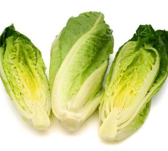 Romaine Lettuce (Bunch)