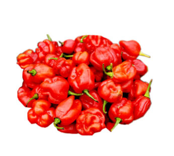 Pepper (Bunch)